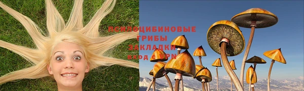 стаф Баксан