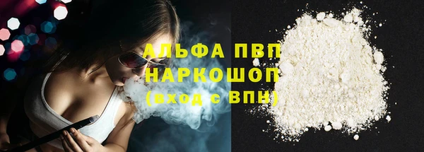 стаф Баксан