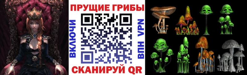 Галлюциногенные грибы Psilocybine cubensis мориарти телеграм Нязепетровск ссылка на мегу вход